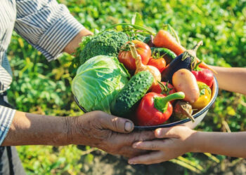 Agricultura-Familiar-Gazeta-Mercantil