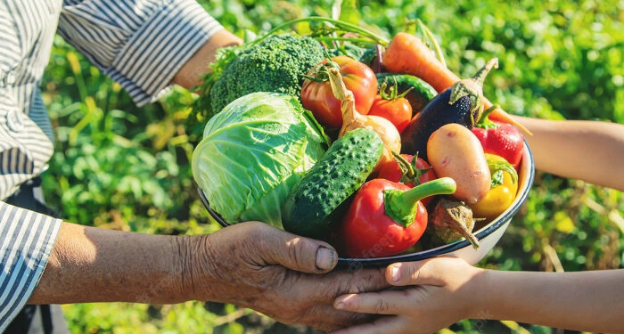 agricultura-familiar-Gazeta-Mercantil