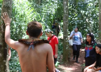 Censo Indigenas - Gazeta Mercantil