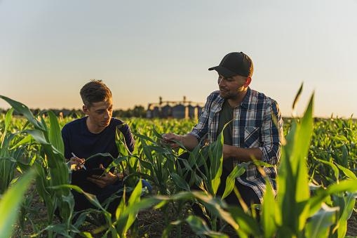 Pib Qual E A Importancia Do Agronegocio Na Economia Do Gazeta Mercantil