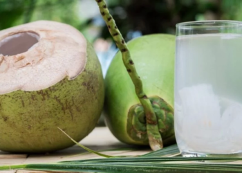 Agua De Coco Beneficios Saude - Gazeta Mercantil