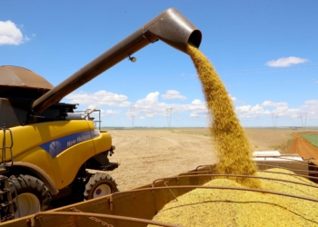 Plantio Atrasado De Soja No Brasil - Gazeta Mercantil