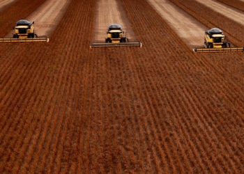 Servicos Tem Menor Dinamismo No 2O Semestre Com Agro Concentrado Gazeta Mercantil