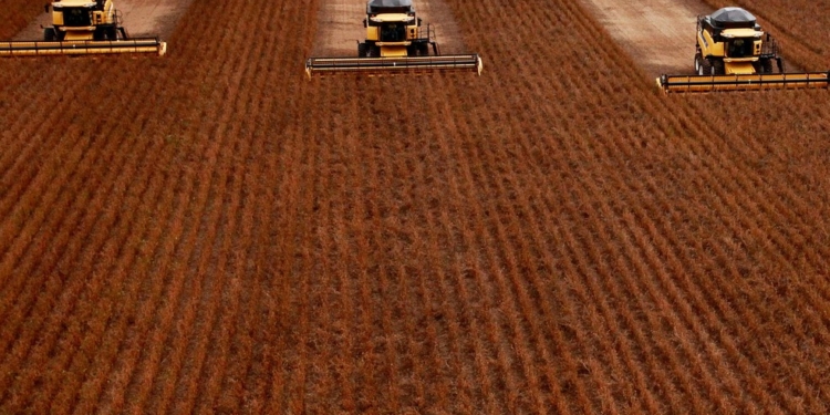 Servicos Tem Menor Dinamismo No 2O Semestre Com Agro Concentrado Gazeta Mercantil