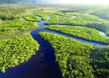 05092023 Dia Amazonia Gazeta Mercantil