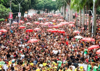 O Que Funciona No Carnaval De São Paulo 2024 - Gazeta Mercantil