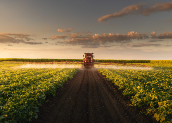 Banco Do Brasil Emprestimo Agronegócio - Gazeta Mercantil