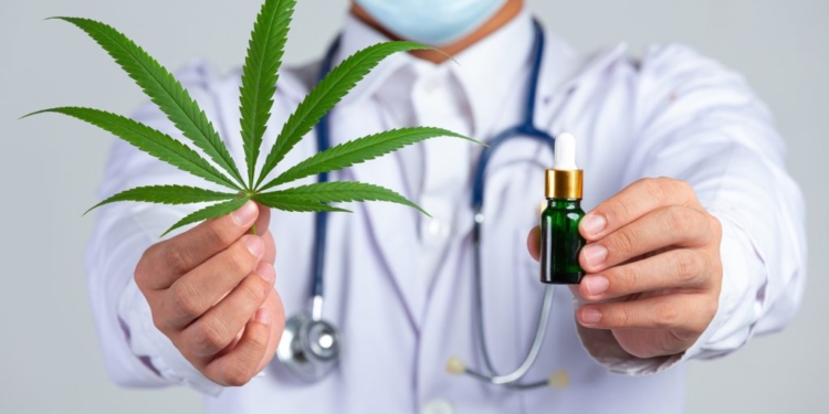 Cannabis Medicinal - Gazeta Mercantil