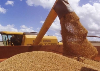 Produção De Arroz Rs - Gazeta Mercantil