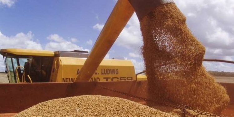 Produção De Arroz Rs - Gazeta Mercantil