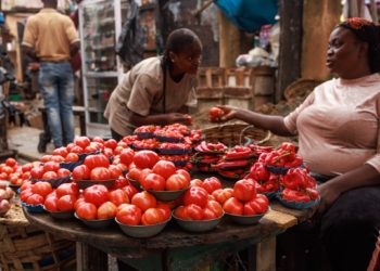 Como Ebola Do Tomate Virou Preocupacao Para Economia Da Nigeria Gazeta Mercantil