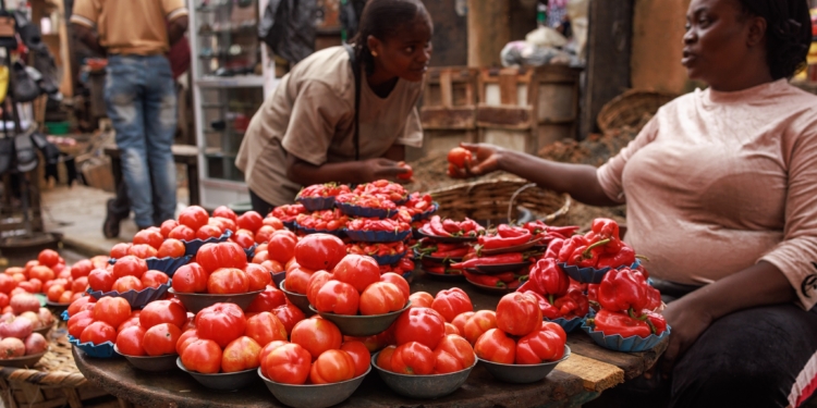 Como Ebola Do Tomate Virou Preocupacao Para Economia Da Nigeria Gazeta Mercantil