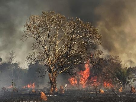 Panta Gazeta Mercantil