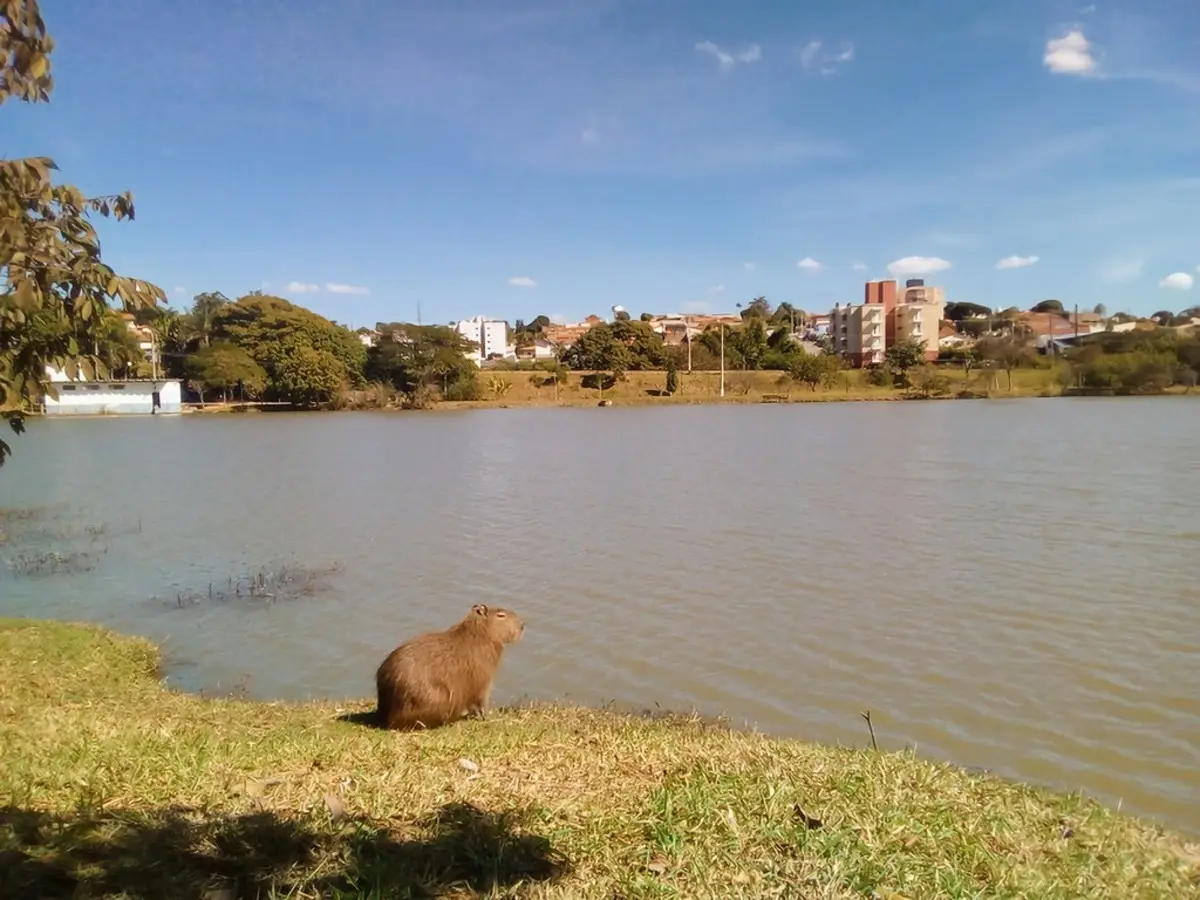 As 10 cidades com melhor qualidade de vida no Brasil 6 GAZETA MERCANTIL Vinhedo