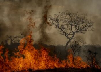 Queimadas Interior De São Paulo - Gazeta Mercantil