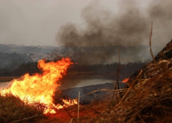 Sobe Para Três O Número De Presos Por Incêndios Florestais No Interior De Sp