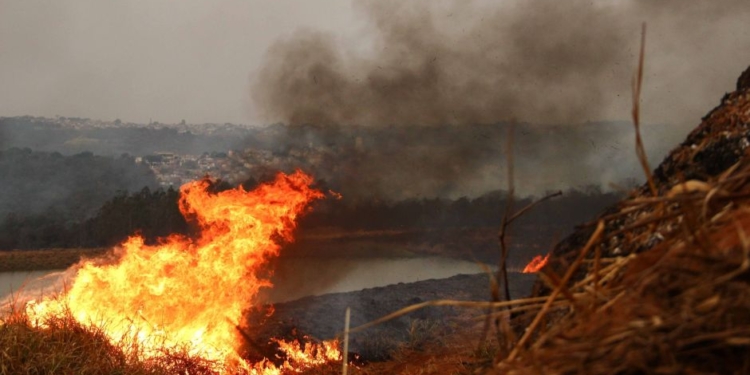 Sobe Para Três O Número De Presos Por Incêndios Florestais No Interior De Sp