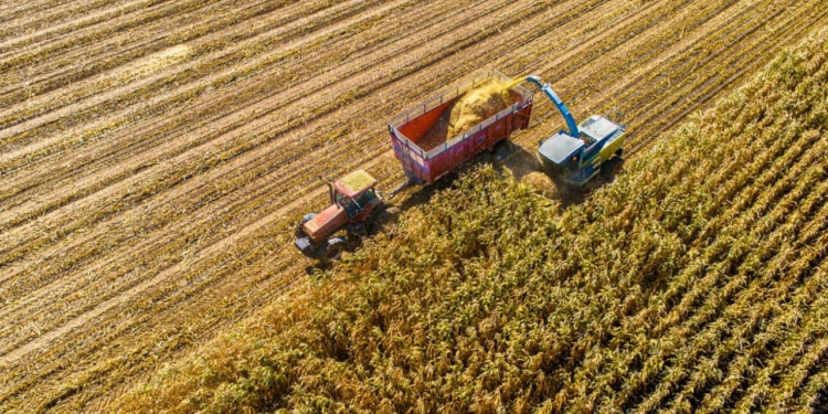 Crescimento Exportação Soja - Gazeta Mercantil