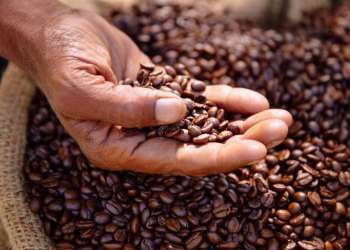 Café Solúvel - Gazeta Mercantil