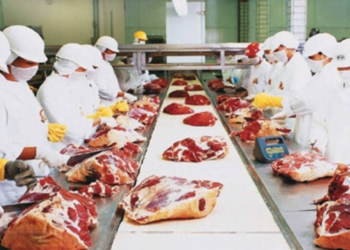 Seara mira 100 mil clientes e quer crescer seis vezes mais que mercado de restaurantes 2 GAZETA MERCANTIL Seara Foods - Gazeta Mercantil