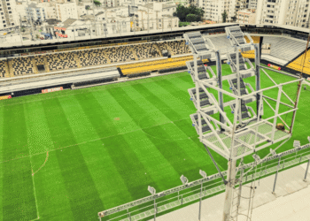 Criciúma X Flamengo: Horário E Onde Assistir Ao Jogo Do Brasileirão - Gazeta Mercantil
