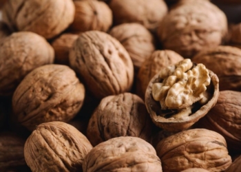 Produção Brasileira De Noz-Pecã Deve Chegar A 7 Mil Toneladas - Gazeta Mercantil