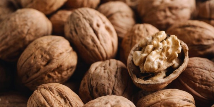 Produção Brasileira De Noz-Pecã Deve Chegar A 7 Mil Toneladas - Gazeta Mercantil