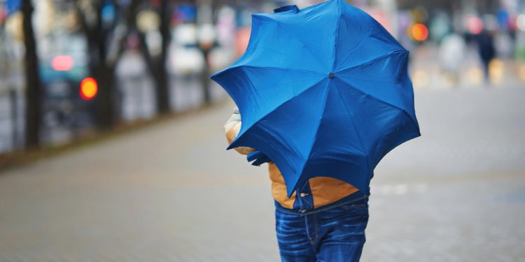 Previsão do tempo Chuva em sete estados - Clima para amanhã