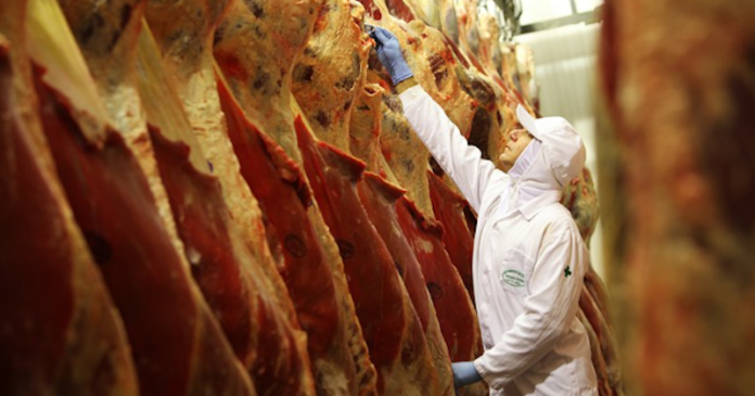 Exportações de Carne Bovina Crescem 9% em Novembro, mas Ritmo de Alta Desacelera Gazeta Mercantil