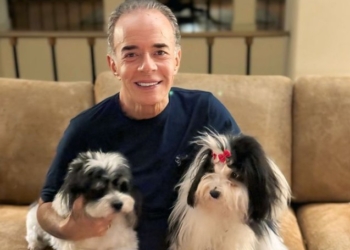 Justiça De Sp Penhora Dividendos De Chiquinho Scarpa Por Dívida Médica E Amplia Alcance De Execuções-Gazeta Mercantil