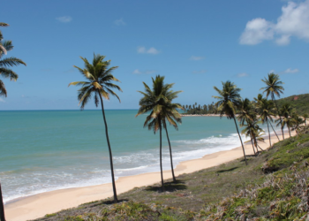 turismo sustentável em João Pessoa - Gazeta Mercantil