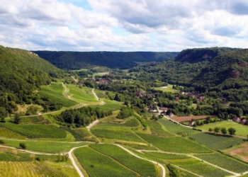 Snfz11 - Gazeta Mercantil