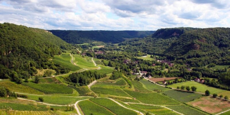 Snfz11 - Gazeta Mercantil