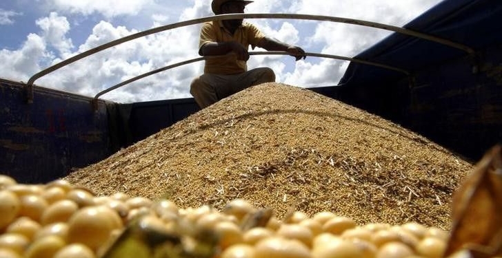 Colheita De Soja 2025