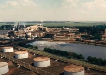 São Martinho Smto3 Registra Lucro Recorde E Analistas Projetam Alta Acima De 100% - Gazeta Mercantil