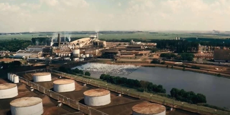 São Martinho (SMTO3) registra lucro recorde e analistas projetam alta acima de 100% 1 GAZETA MERCANTIL São Martinho Smto3 Registra Lucro Recorde E Analistas Projetam Alta Acima De 100% - Gazeta Mercantil