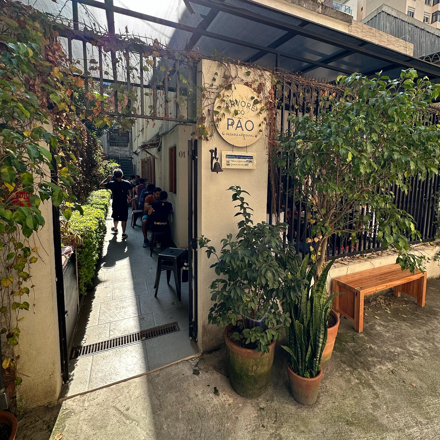 Árvore do Pão - Gazeta Mercantil