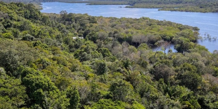 Bndes Reforça O Fundo Clima Com R$ 21 Bi Na Cop30 - Gazeta Mercantil