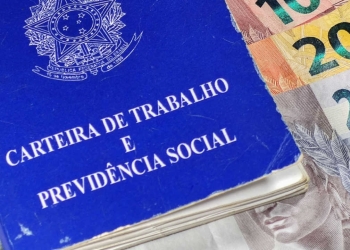 Diferença Entre Pis, Nis, Nit E Pasep Gazeta Mercatil