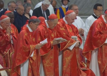 Eleição Do Novo Papa: O Que Esperar Do Conclave Mais Disputado Da Igreja Católica Conclave - Gazeta Mercantil