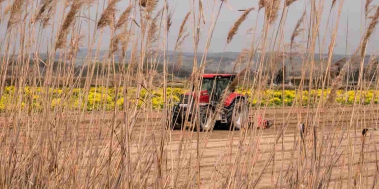 Btal11 Dividendos: Fundo Amplia Liquidez, Mantém R$ 1 Por Cota E Reforça Estratégia No Agronegócio - Gazeta Mercantil