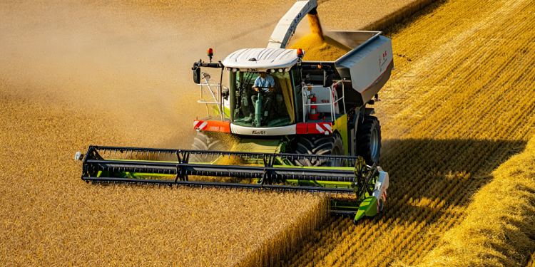 Compra E Venda De Terras No Brasil Cresce Com Valorização E Judicialização No Agronegócio Gm - Gazeta Mercantil - Economia