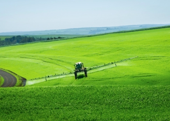 Bradesco E Neoenergia Emitem R$ 1 Bilhão Em Debêntures Verdes Do Eco Invest - Gazeta Mercantil