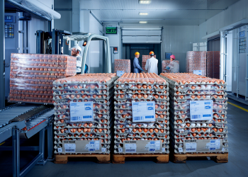 Exportações Brasileiras De Ovos - Gazeta Mercantil