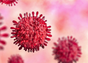 Variante Ba.3.2 Reacende Alerta Global Sobre A Covid-19 E Amplia Vigilância Em 23 Países - Gazeta Mercantil