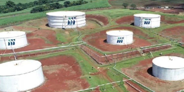 São Martinho (SMTO3) paga dividendos nesta terça-feira; veja quem recebe 1 GAZETA MERCANTIL São Martinho (Smto3) - Gazeta Mercantil