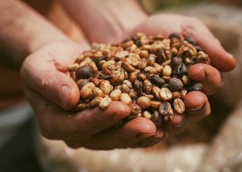 Tarifa De 50% De Trump Ameaça Abastecimento De Café Nos Eua E Pressiona Mercados - Gazeta Mercantil
