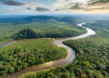 Governo Cogita Judicializar Derrubada Dos Vetos Ambientais - Gazeta Mercantil