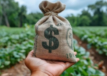 Crédito Rural - Gazeta Mercantil