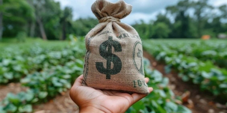 Crédito Rural - Gazeta Mercantil